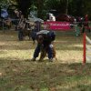 foire-haricots 2011-09-17et18